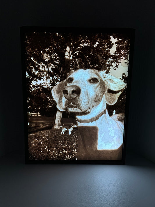 Custom Portrait Lightbox