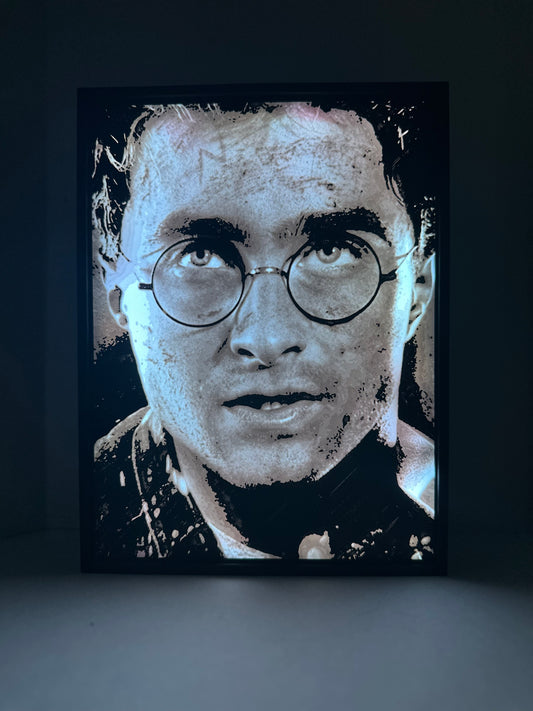 Harry Potter Lightbox